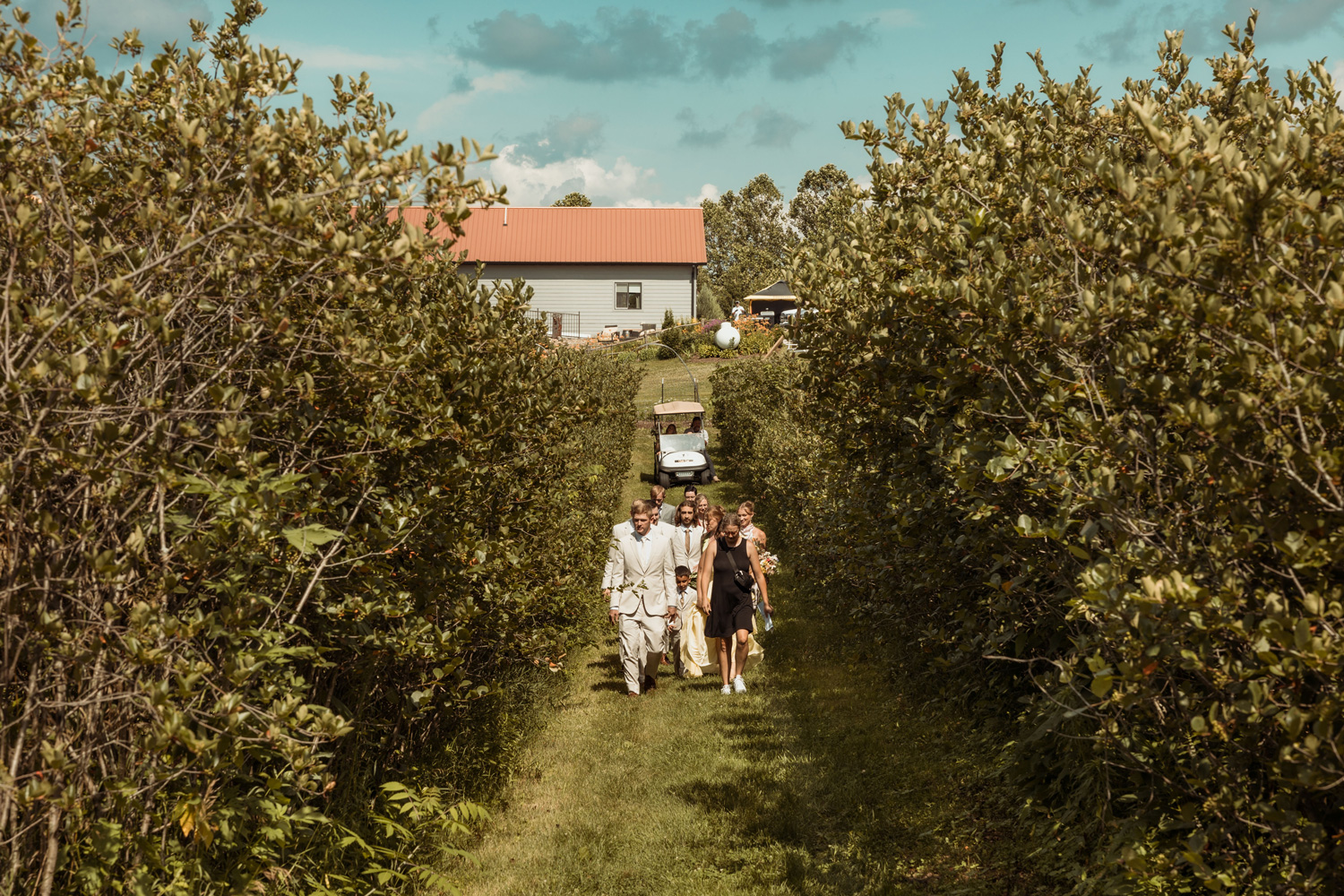 Koru Berry Farm, Homestead, Iowa