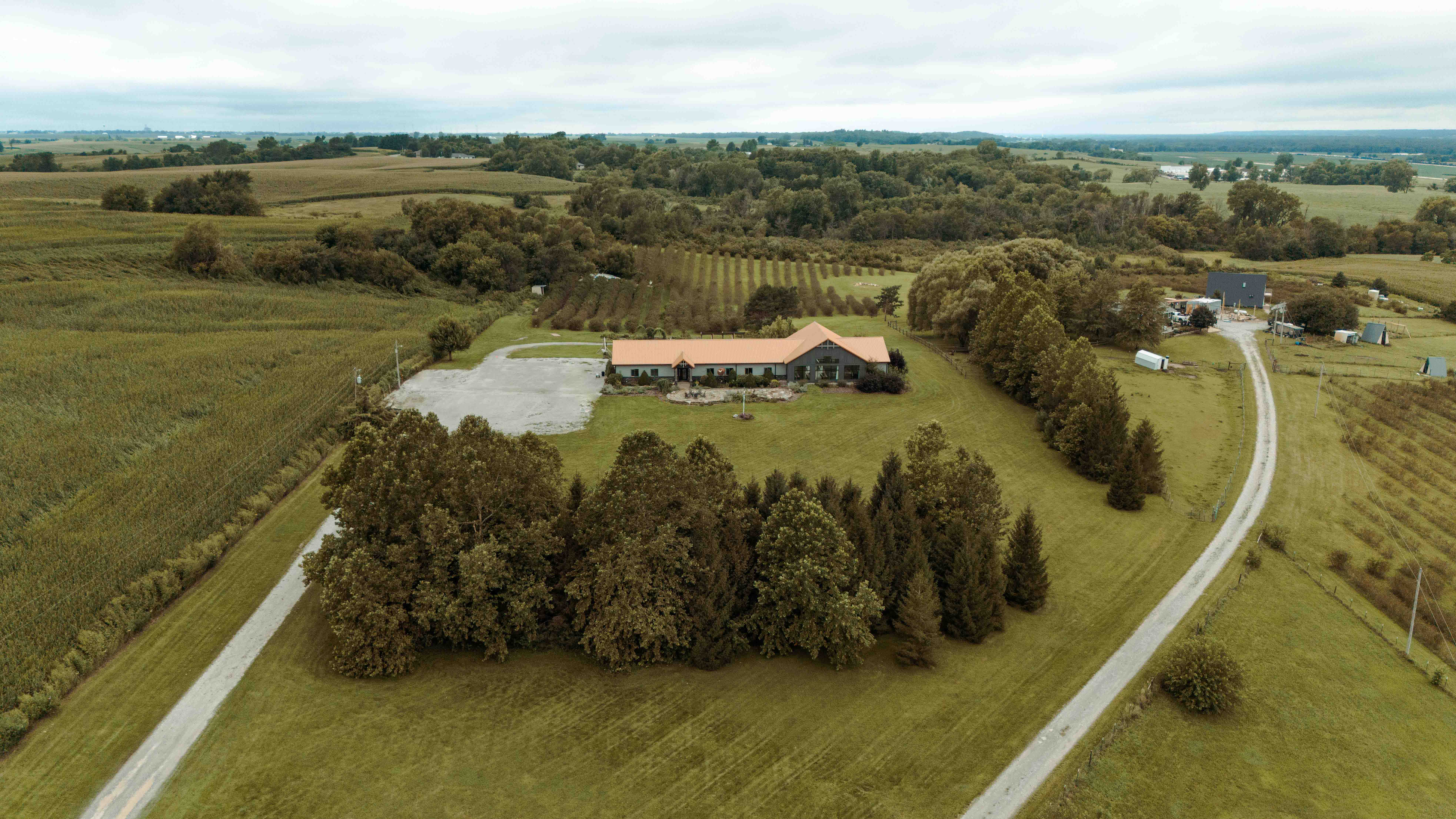 Koru Berry Farm, Homestead, Iowa