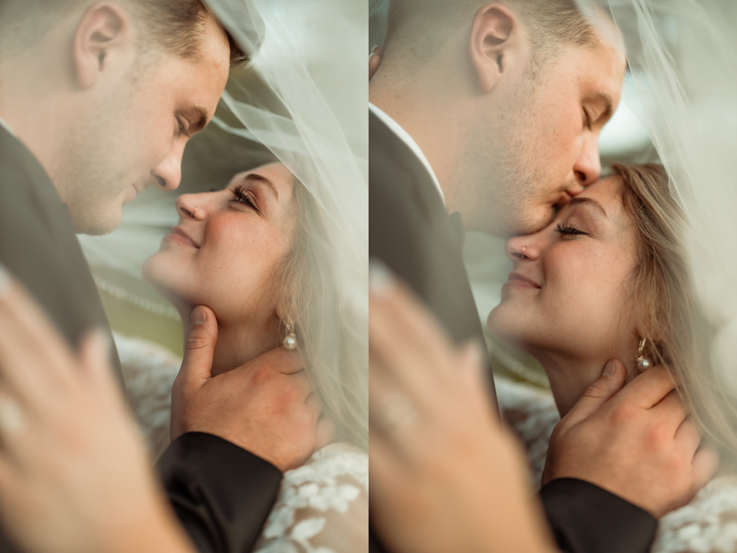 Old Oak Winery Wedding, Milan, Illinois