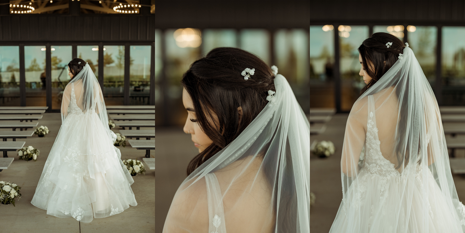 The Midnight Gem Wedding, Swisher, Iowa
