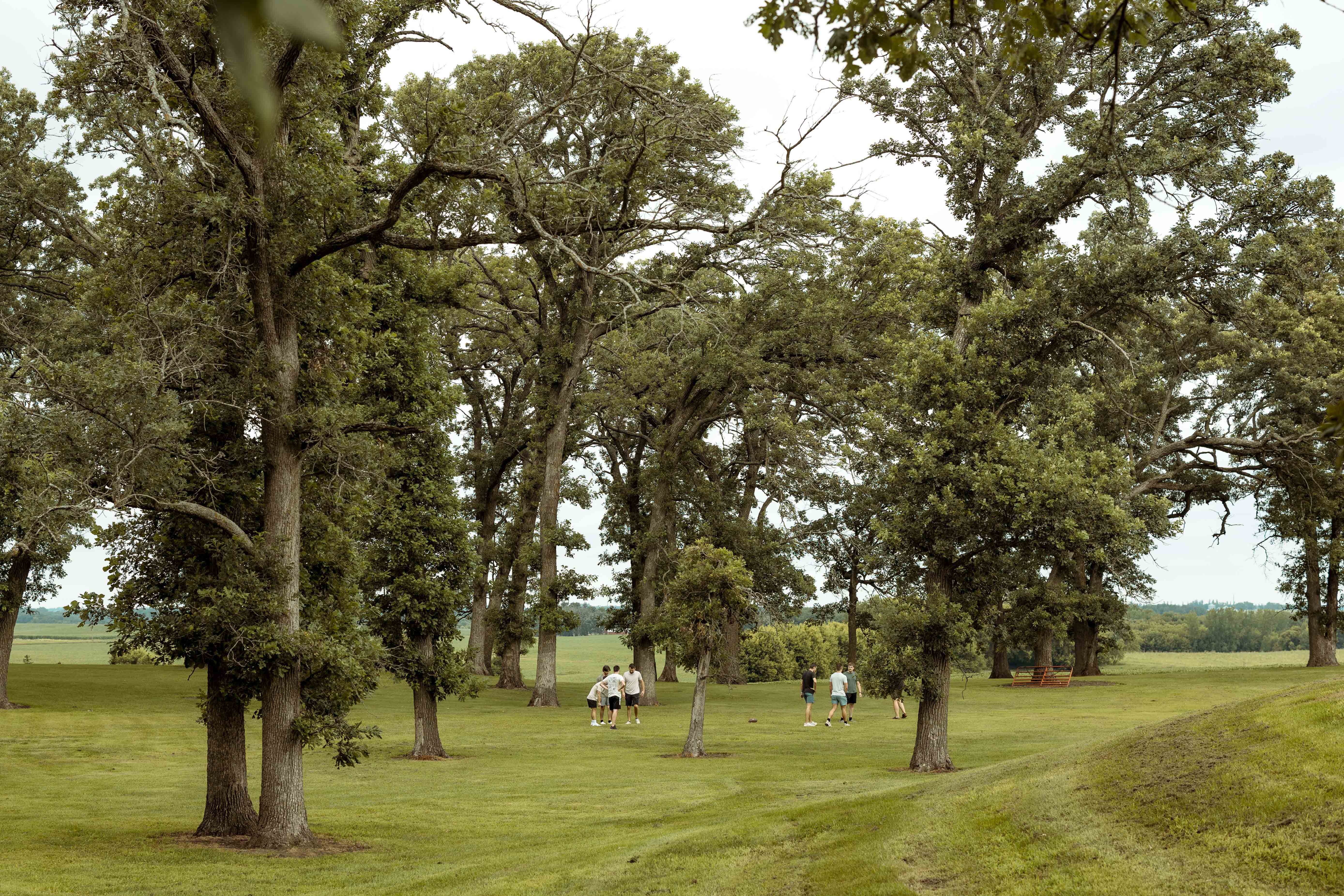 Country View Acres Wedding, Joice, Iowa